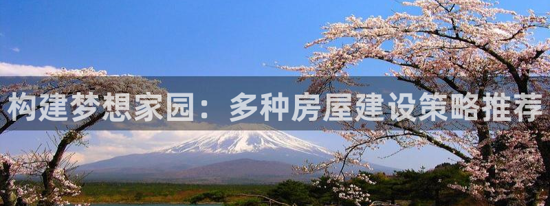 先锋娱乐邀请码多少：构建梦想家园：多种房屋建设策略推荐