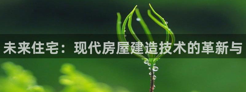 先锋娱乐大厅平台：未来住宅：现代房屋建造技术的革新与
