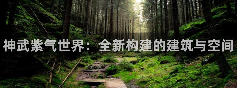先锋娱乐炸金花：神武紫气世界：全新构建的建筑与空间