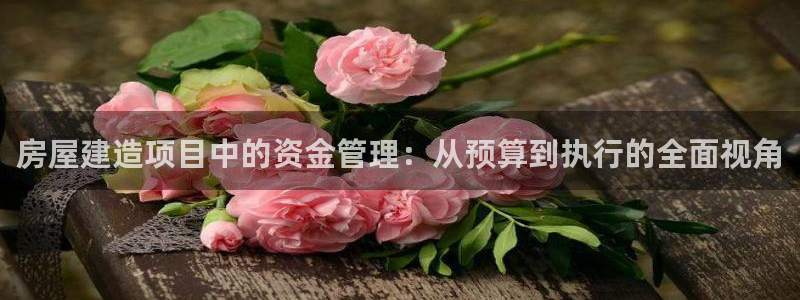 怎么下载先锋娱乐大厅：房屋建造项目中的资金管理：从预算到执行的全面视角