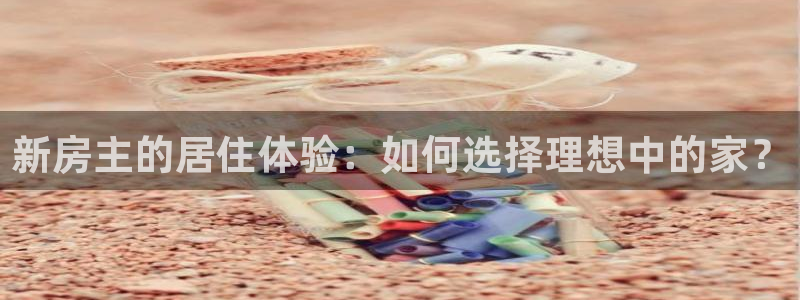 先锋娱乐简介图片