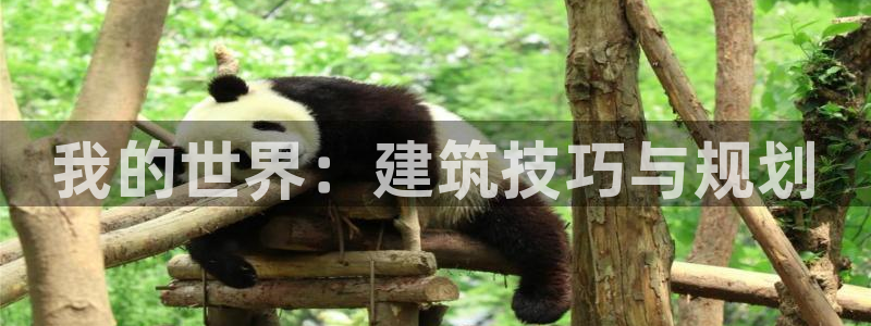先锋娱乐游戏大厅下载