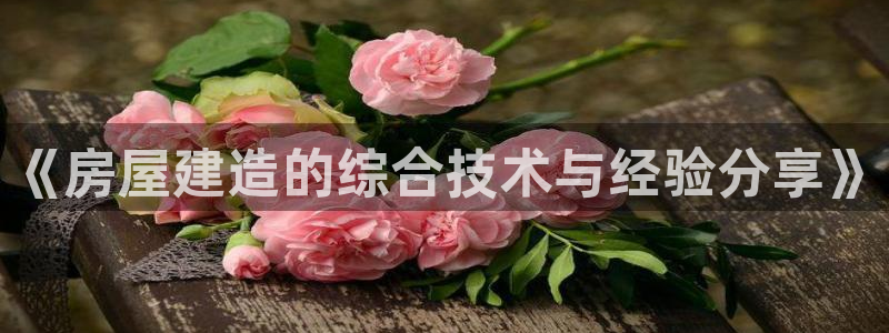 先锋娱乐在线