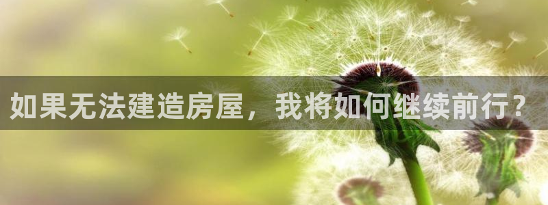 先锋娱乐社：如果无法建造房屋，我将如何继续前行？