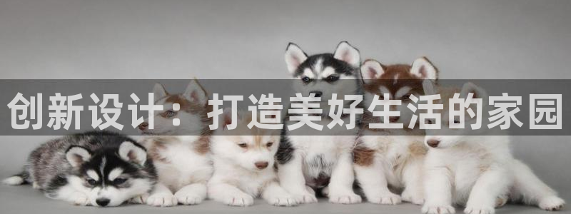 先锋银河娱乐：创新设计：打造美好生活的家园