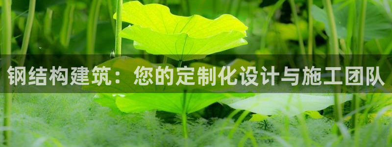 娱乐急先锋李诞甄子丹：钢结构建筑：您的定制化设计与施工团队