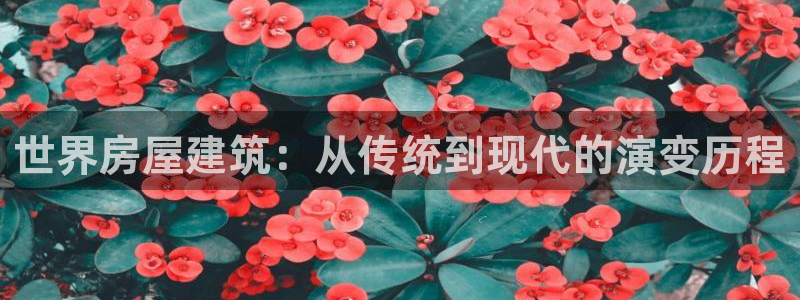 先锋娱乐游戏软件：世界房屋建筑：从传统到现代的演变历程