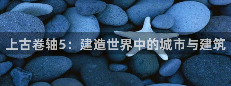 先锋娱乐资讯官网入口