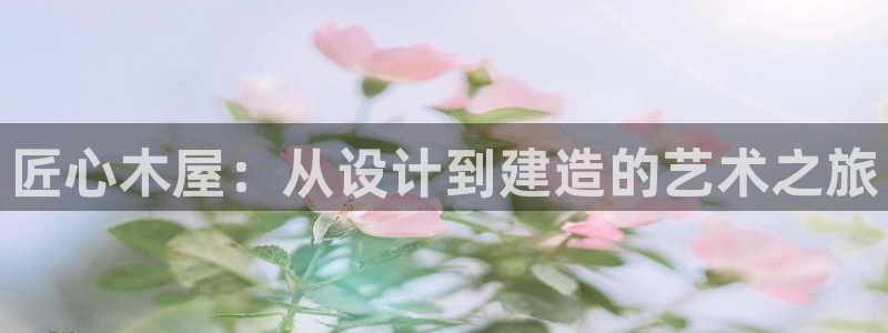 先锋娱乐团：匠心木屋：从设计到建造的艺术之旅
