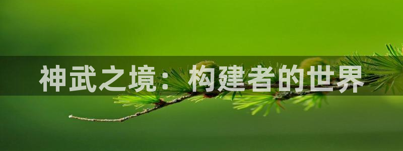 先锋娱乐游戏大厅下载：神武之境：构建者的世界