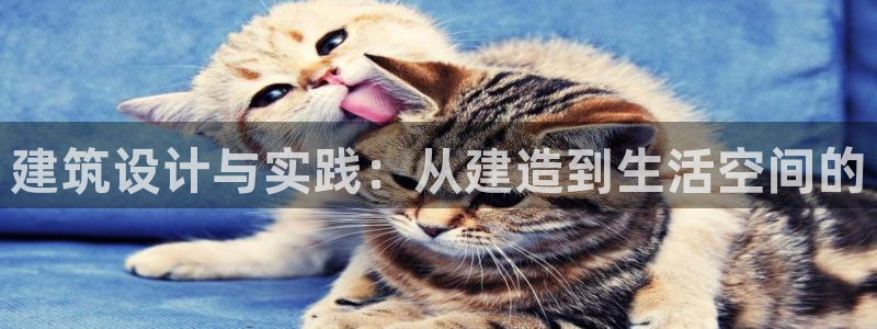 先锋娱乐电子游戏：建筑设计与实践：从建造到生活空间的