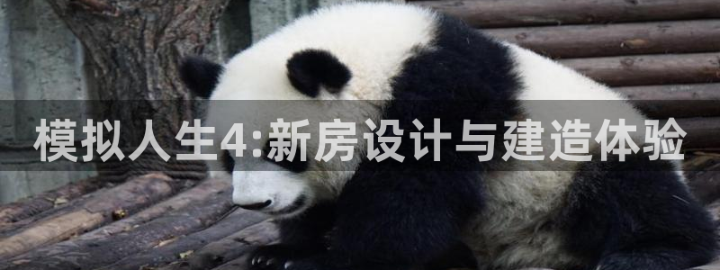 先锋电子旗下先锋娱乐：模拟人生4:新房设计与建造体验