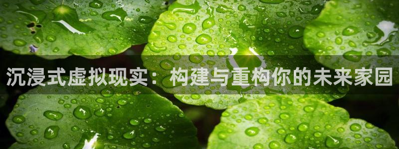 先锋娱乐官：沉浸式虚拟现实：构建与重构你的未来家园