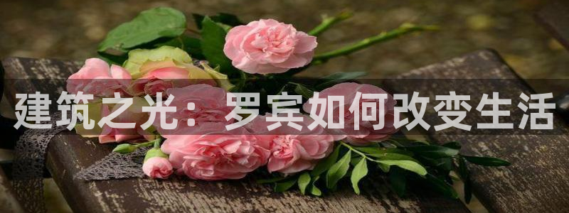 先锋娱乐侠：建筑之光：罗宾如何改变生活