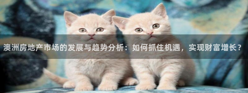 先锋娱乐管理集团招聘：澳洲房地产市场的发展与趋势分析：如何抓住机遇，实现财富增长？