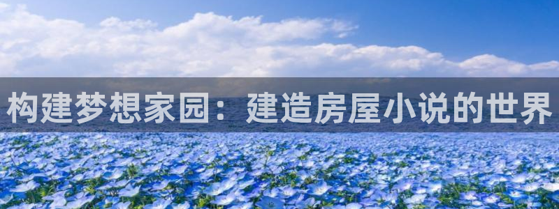 先锋娱乐中国：构建梦想家园：建造房屋小说的世界