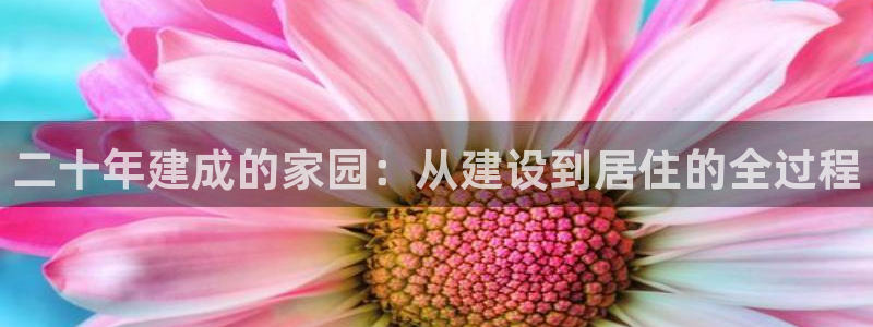 先锋支付娱乐城：二十年建成的家园：从建设到居住的全过程
